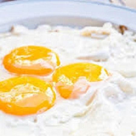 فندق نيو وايت بالاس كولكاتا المظهر الخارجي الصورة