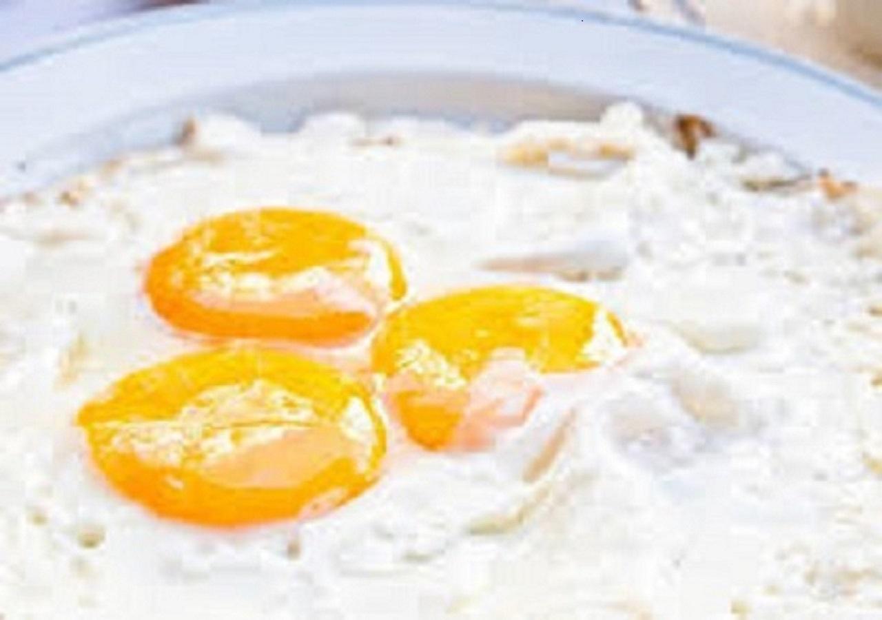 فندق نيو وايت بالاس كولكاتا المظهر الخارجي الصورة